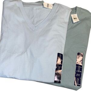 GAP Set of 2 Mens V-Neck 100% Cotton Short Sleeve T-Shirt Blue‎ Green Large NWT